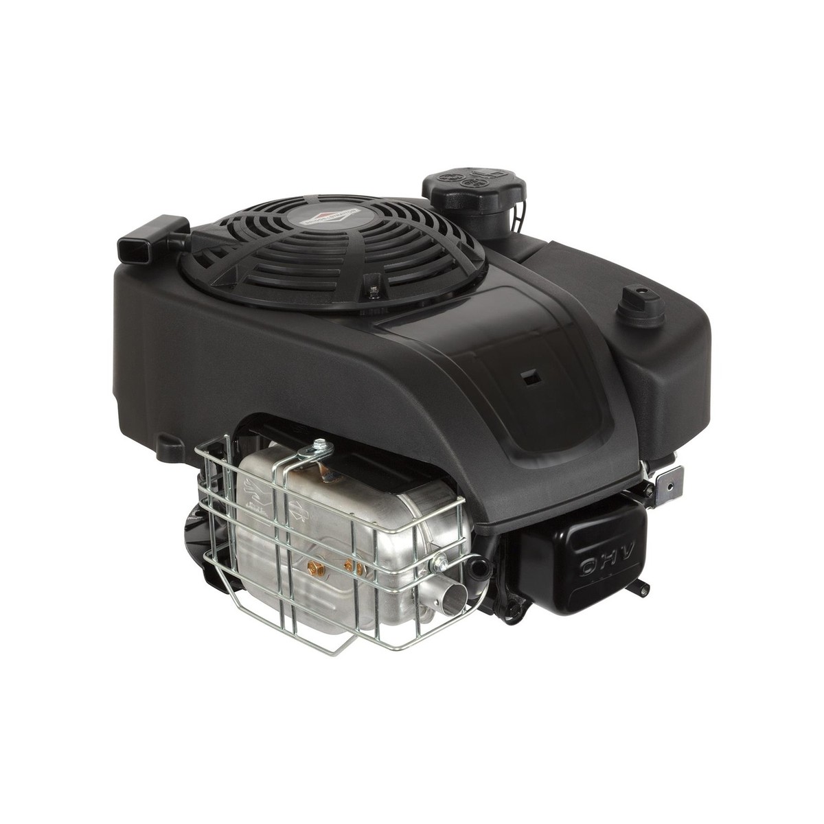 MOTOR BRIGGS SERIE 1000 223cc 
