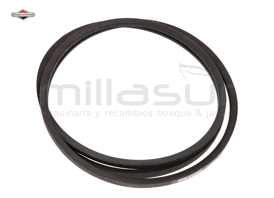 CORREIA 5V 138,50 FERRIS