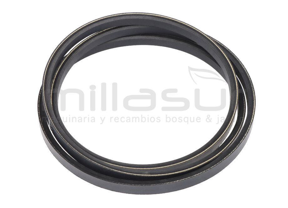 Courroie trapézoïdale