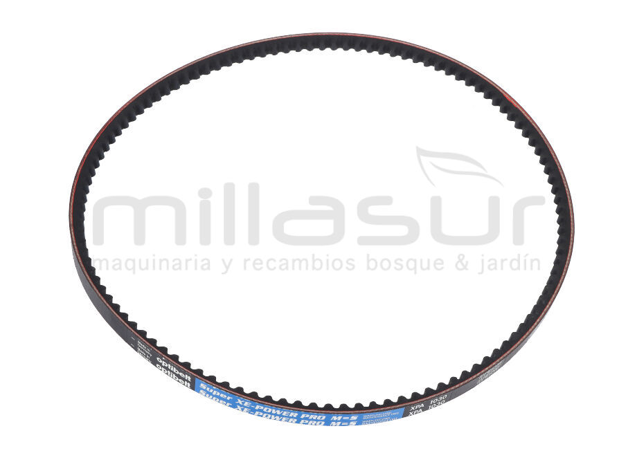 CORREA CORTE AGRIA 9500-80