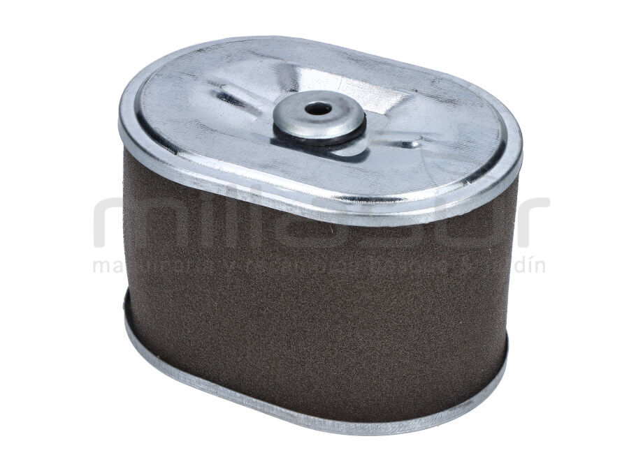 FILTRO AIRE BIO150S-BIO150D (69,1)