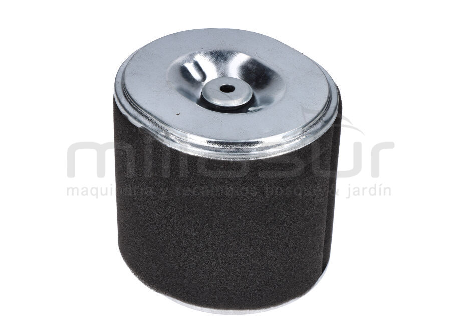 FILTRO AIRE  BIO70VR -BIO70D-BIO50V(69,1)