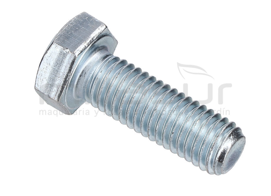 MOTORBEFESTIGUNGSSCHRAUBE (21) CL500