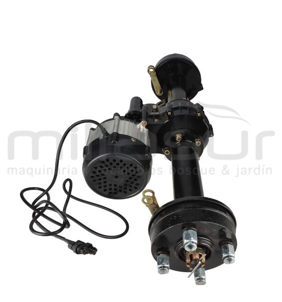 MOTOR 36V 400W CR06300 (6)