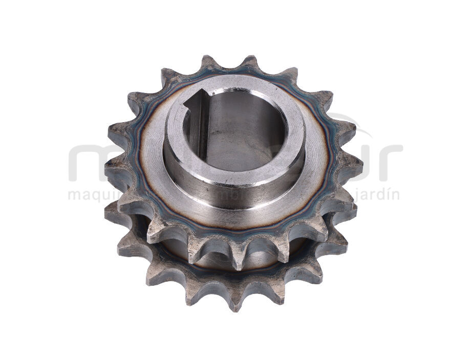 PIÑON DOBLE CADENA (75)