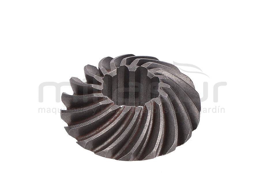 UNTERES RITZELKRÜMMER