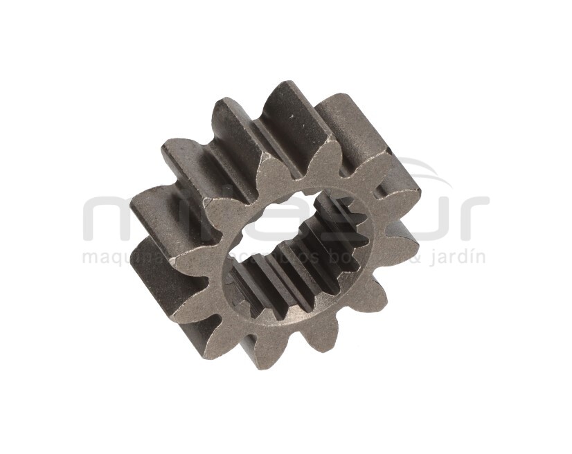 PIÑON 3ª DM700 (18)
