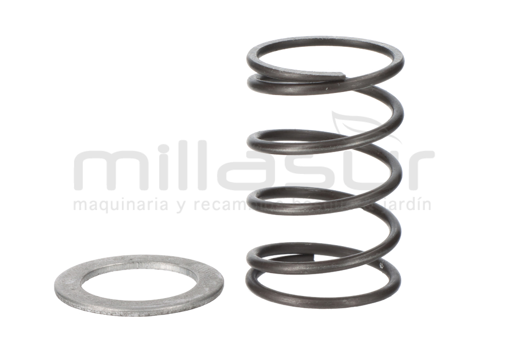 ARANDELA APOYO Y MUELLE RETORNO DM700 (37-38)