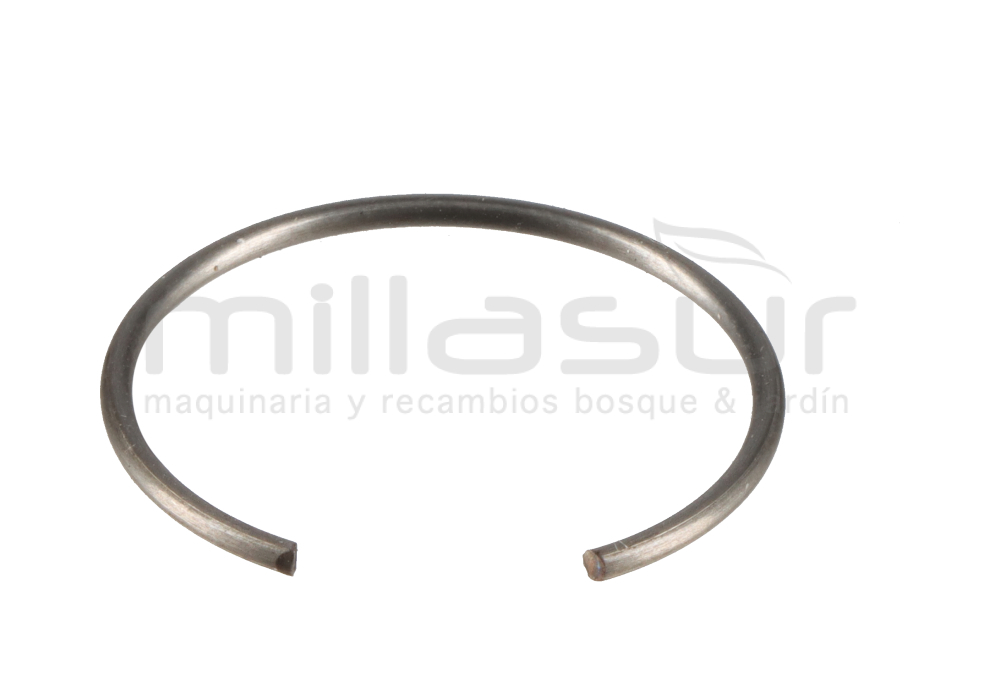 PRESILLA PISTON W300F DM700 (3)