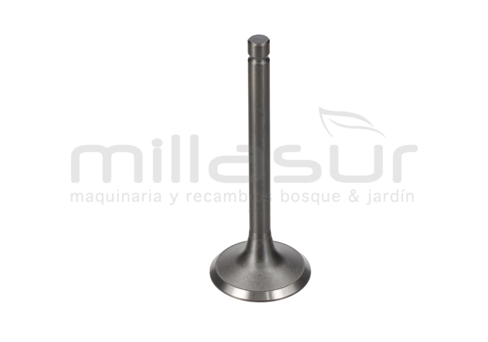 VALVULA ADMISION W300F (3)
