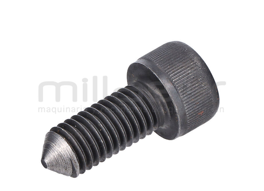 SCHNECKENWELLENROLLE