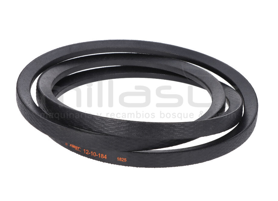 SCHWUNGRAD RIEMENMOTOR SPB2040 BIO HÄCKSLER FÖRST ST8 TR8