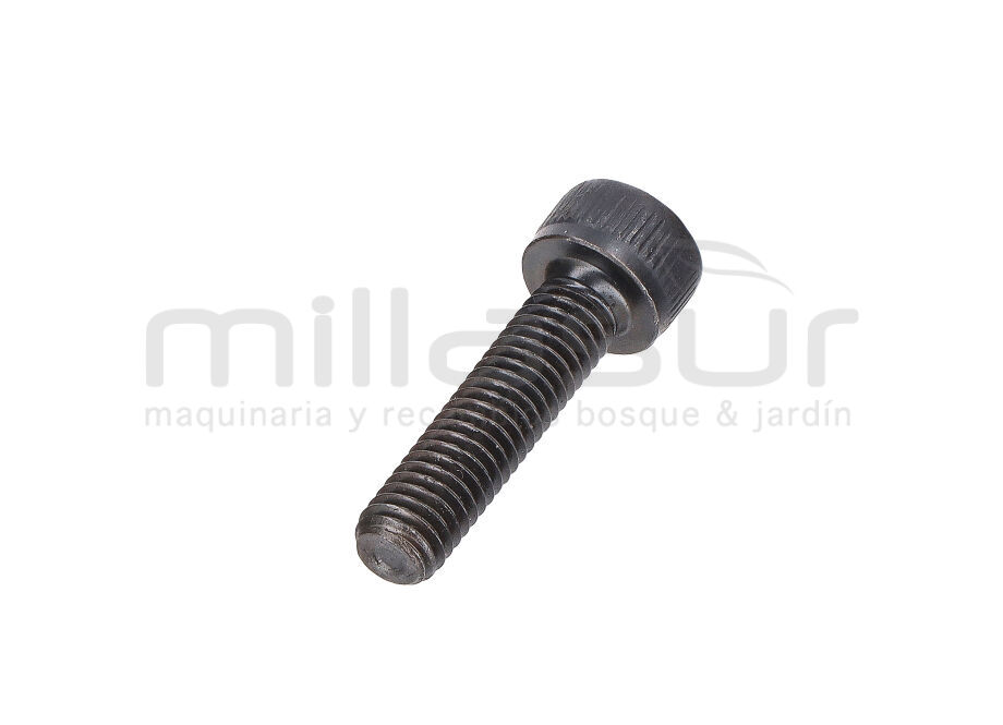 SCHRAUBE ALLE M5 X 20