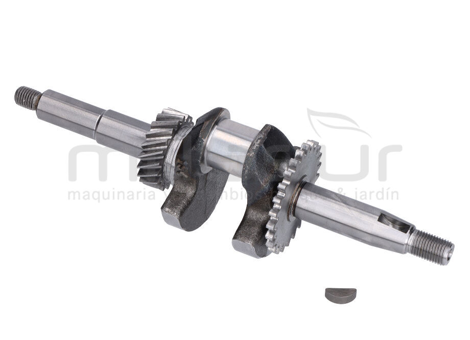 CIGÜEÑAL MA82 (32)