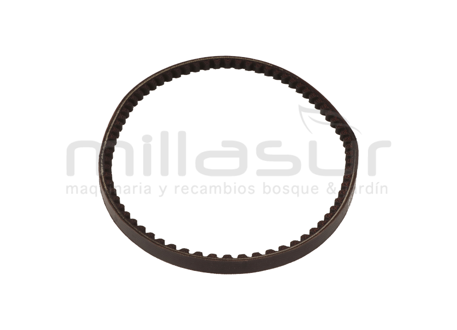 CORREA 10x655LI MC360B (25)