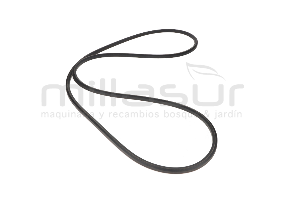 CORREA CORTE AA95 TC102H (27)