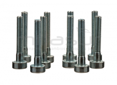 PACK 10 UDS - TORNILLO STIHL M5x0,8xL30 mm.