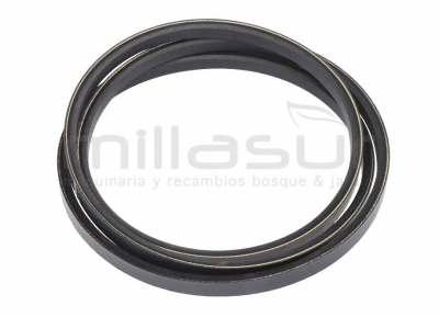 CORREA DE CORTE AGRIA