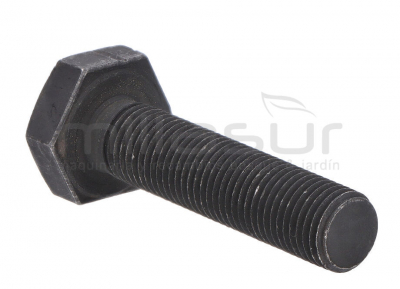 TORNILLO CUCHILLA 3/8"L-40 (1)