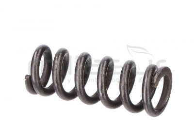 MUELLE SELECTOR CAMBIO (110)