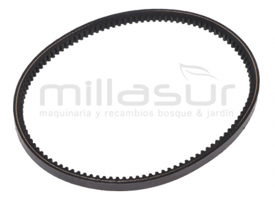 CORREA V13-620 ES240T (50)