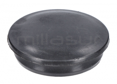 TAPA PERNO RODILLO GUIA (70)