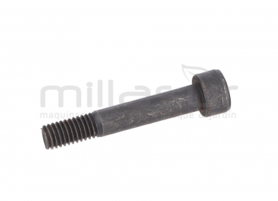 HEXAGON PARAFUSO M5x30 CHAVE DE FENDA VAR370 (20)