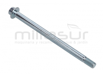 TORNILLO EJE RUEDA DELANTERA ZT107H (F66)